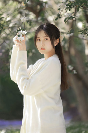 粤语剧2023在线观看免费版全集高清