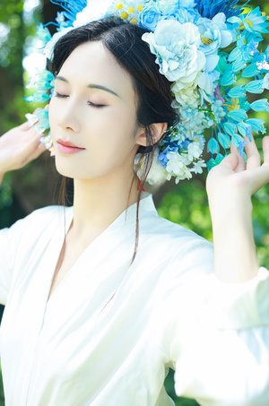 b站菊花projectbgm