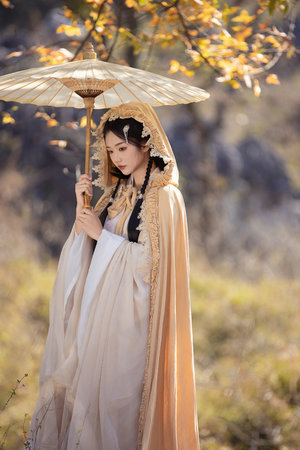 东北一家人免费完整版在线观看