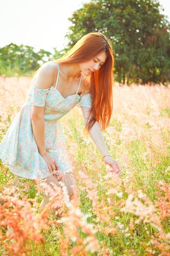 与凤行电视剧大全免费版