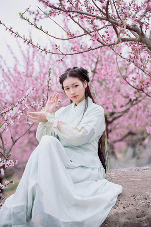 秘密教学漫画子豪